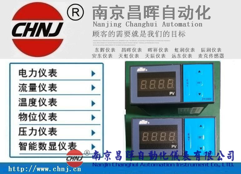 大延牌DY2000、東輝儀表、DY28B02/DY21B02/DY29B02數(shù)顯表